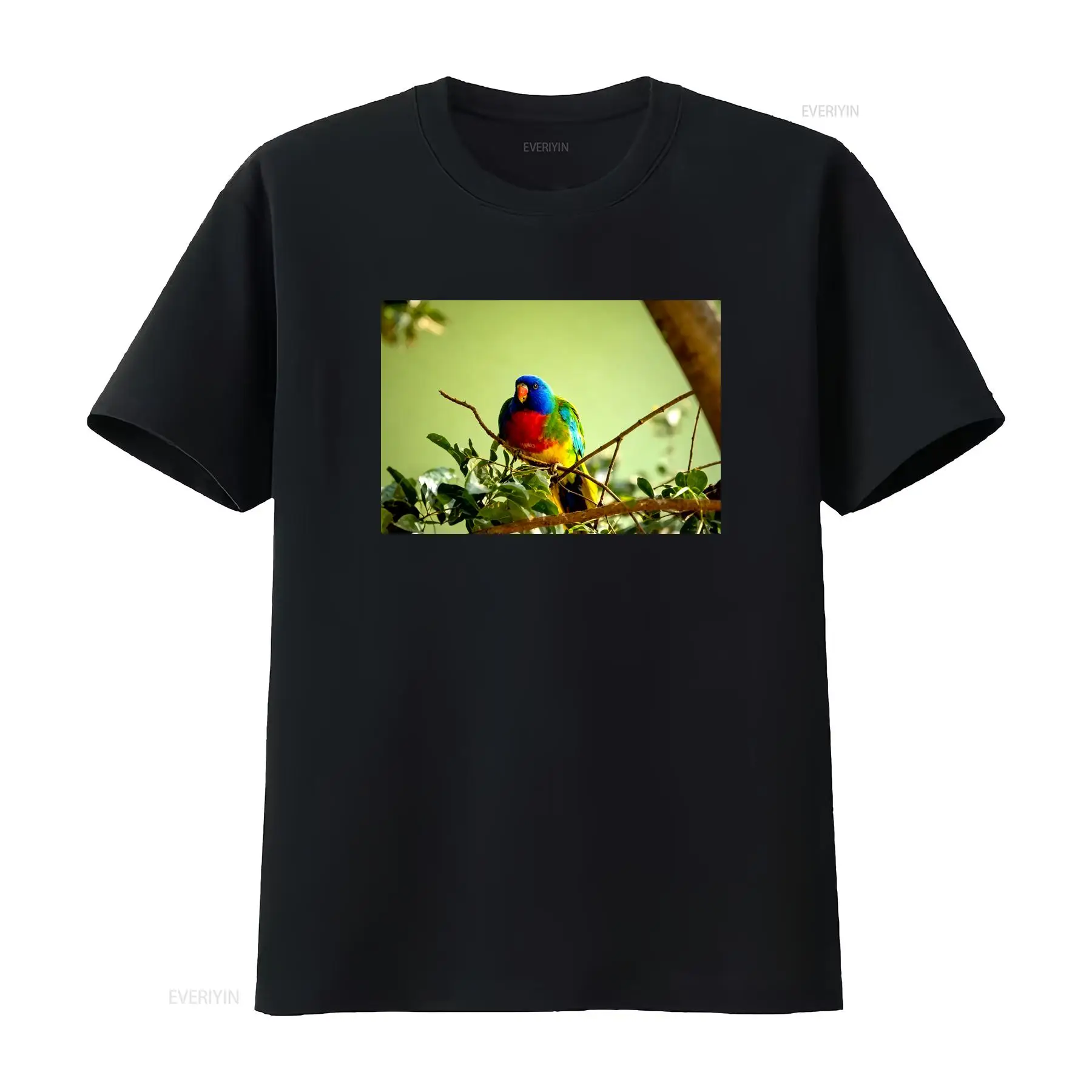 Scarlet Chested Parrot Made in - Vintage Fashion Australia incelemesi ve fiyatı