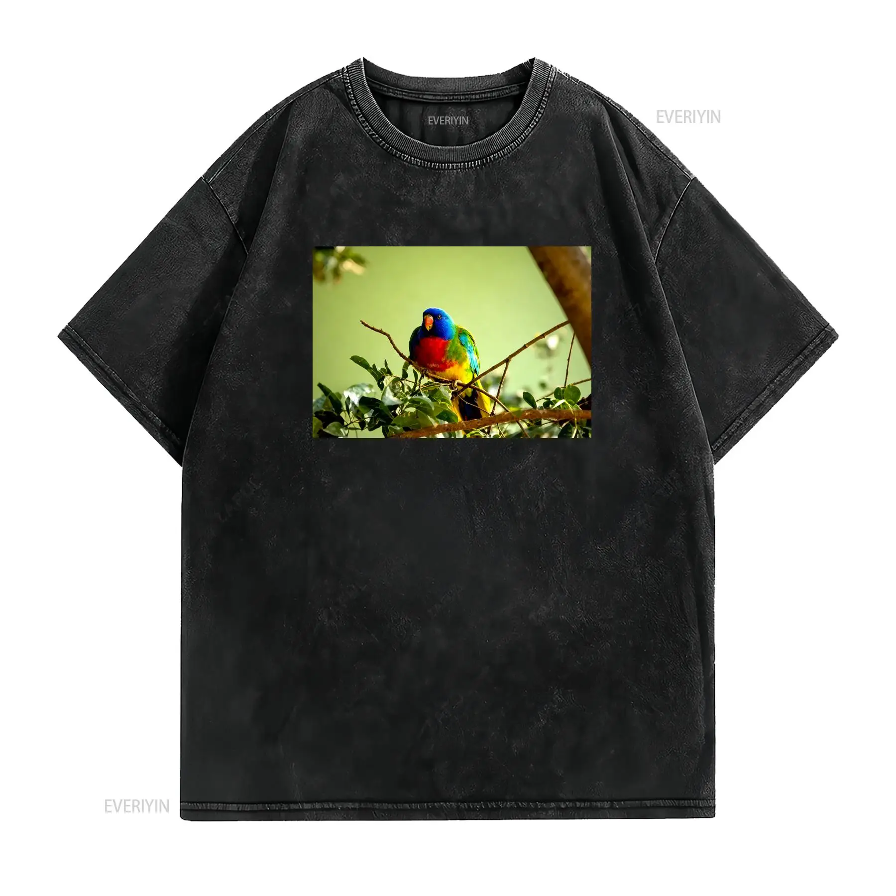 Scarlet Chested Parrot Made in - Vintage Fashion Australia incelemesi ve fiyatı