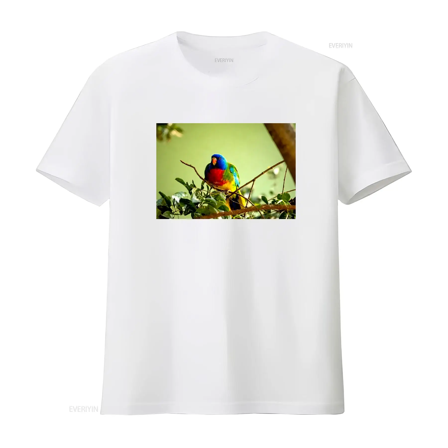 Scarlet Chested Parrot Made in - Vintage Fashion Australia incelemesi ve fiyatı